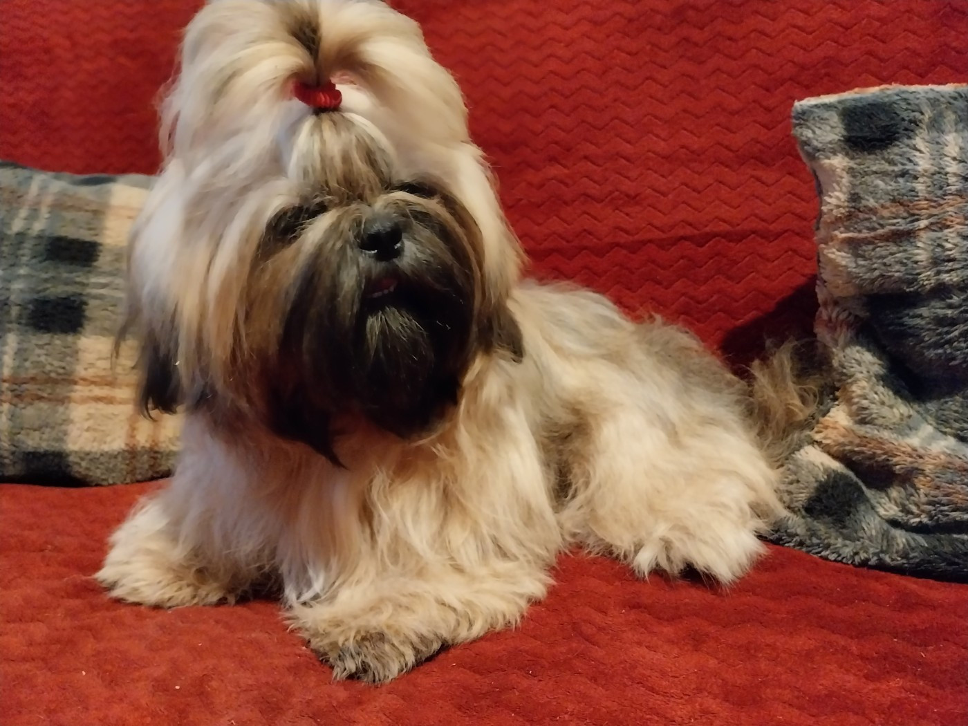 ULMA  Du Royaume De Nanzhao